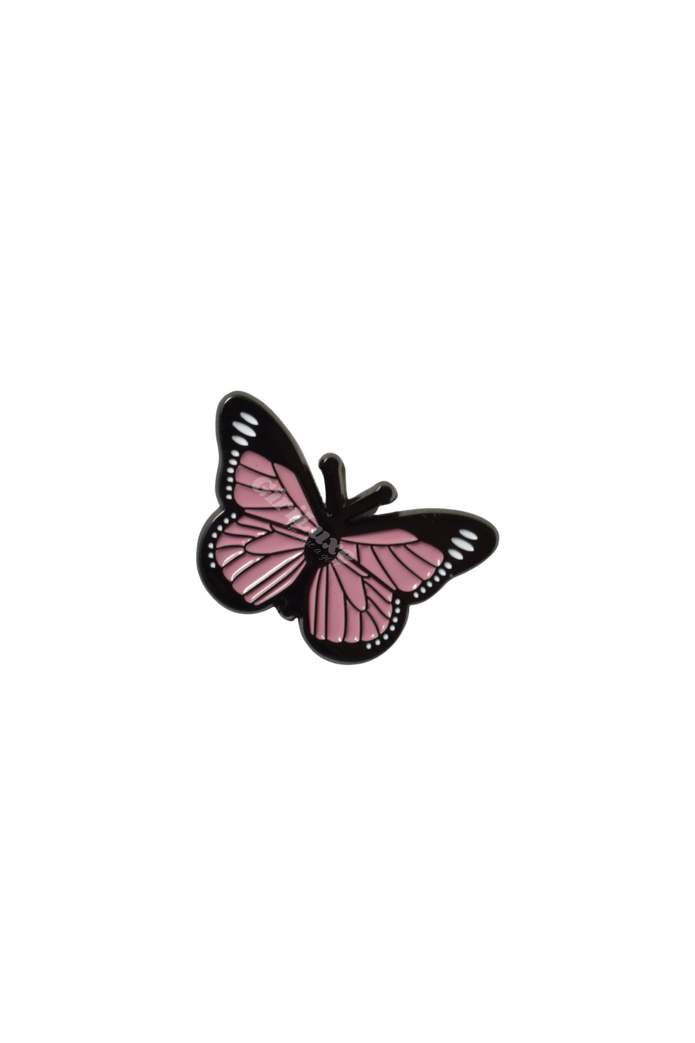 Butterfly🦋
