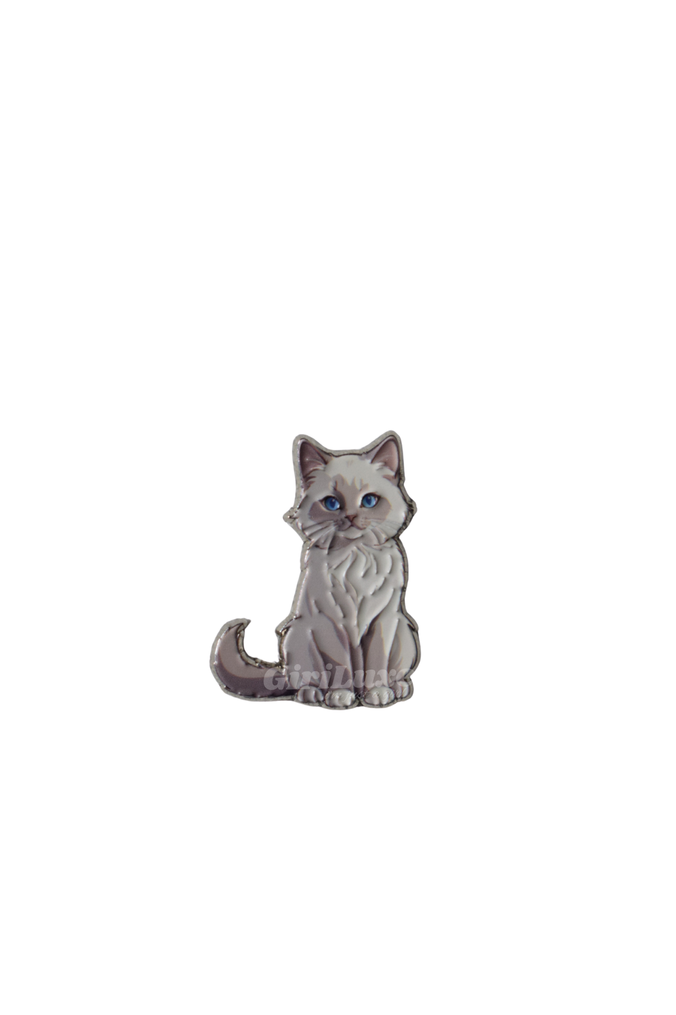 🐈‍⬛️ White Cat