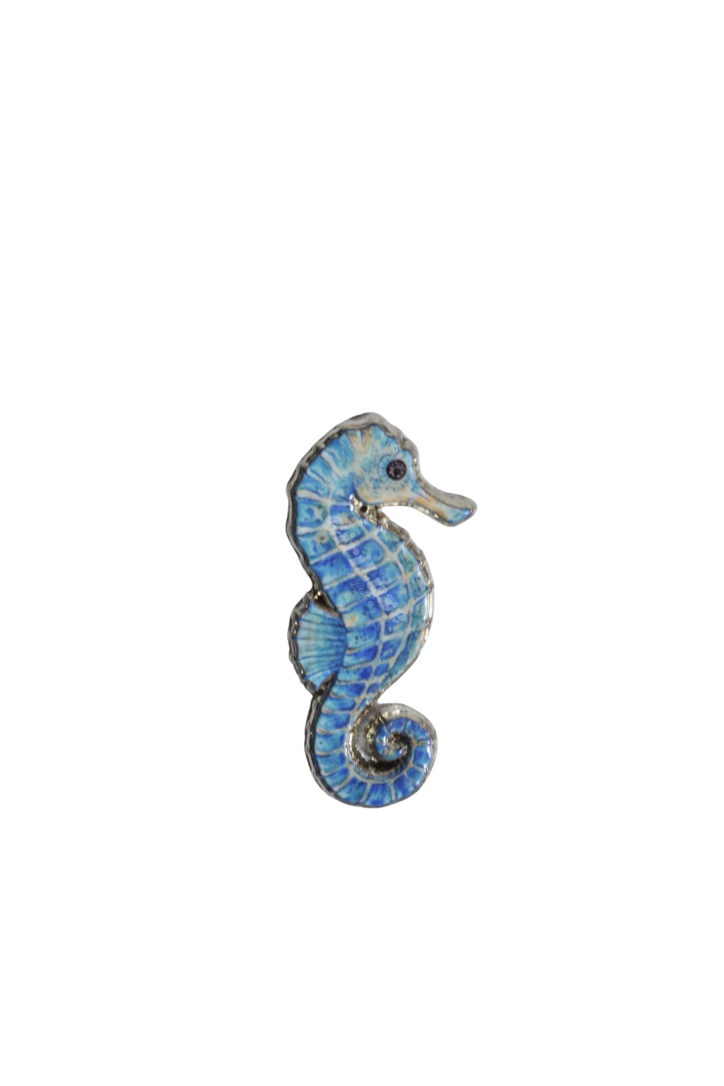 Seahorse