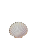 Seashell 🐚